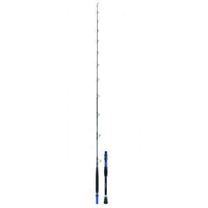 ΚΑΛΑΜΙ DAIWA GOUIN BULL
